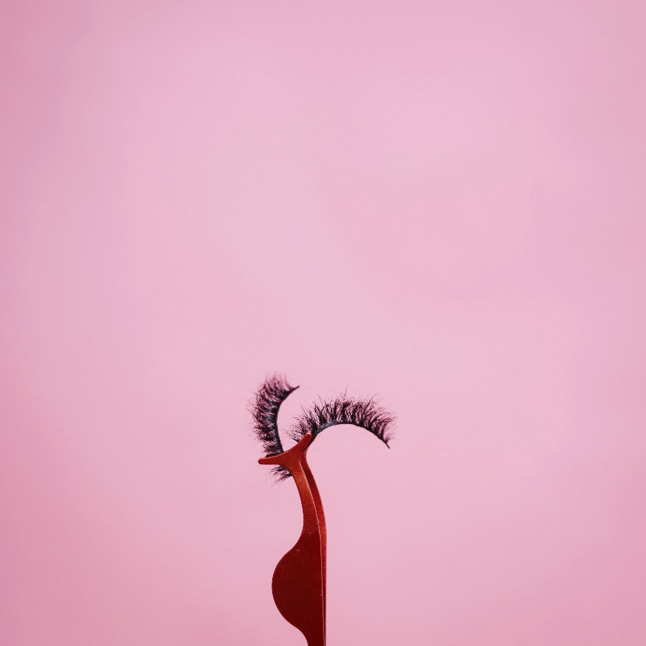 ✨Beauty Lash✨